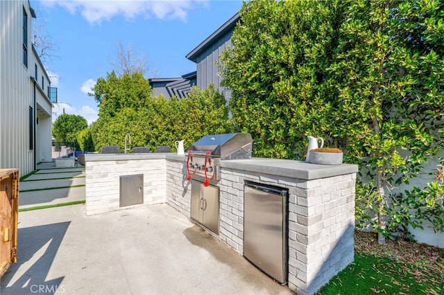 view of patio / terrace with grilling area and exterior kitchen