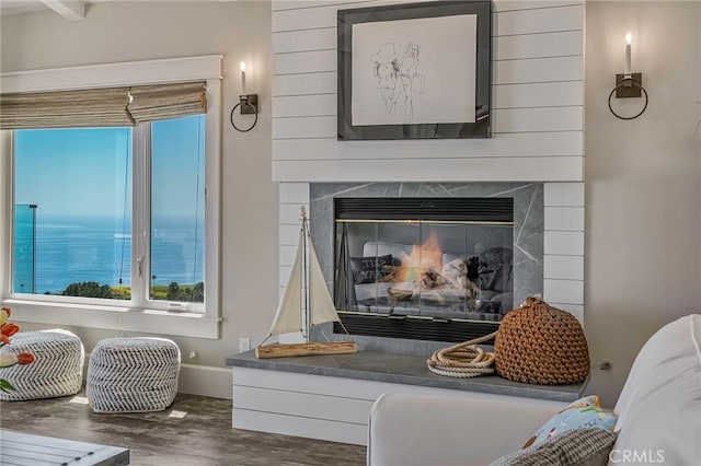 details with a water view, wood-type flooring, and a premium fireplace