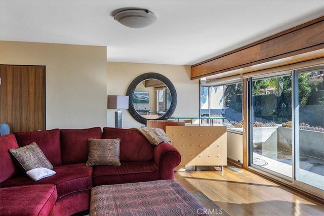 living room featuring hardwood / wood-style floors