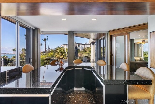 kitchen featuring dark stone counters