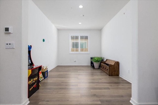 interior space with wood-type flooring