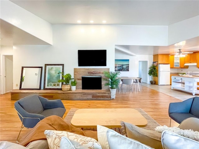 living room with light hardwood / wood-style floors and ceiling fan