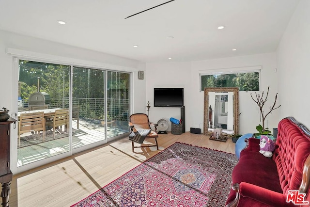 living room featuring hardwood / wood-style flooring and a wealth of natural light