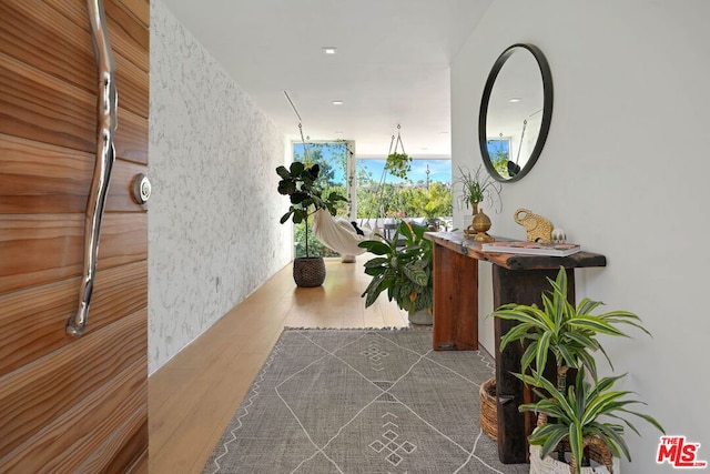 hallway with wood-type flooring and a wall of windows