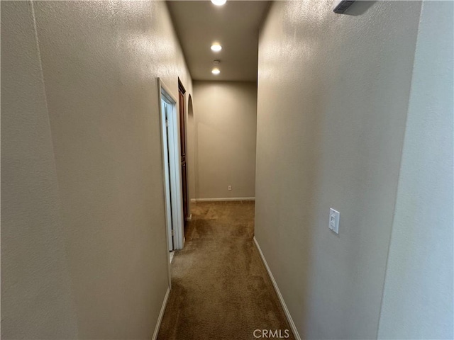 hallway featuring carpet flooring