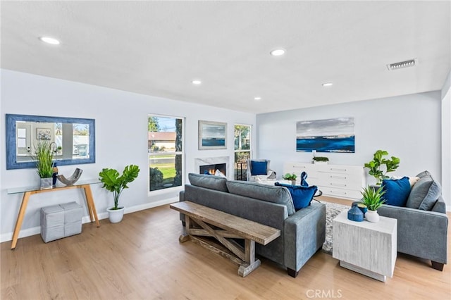 living room featuring a premium fireplace and light hardwood / wood-style flooring