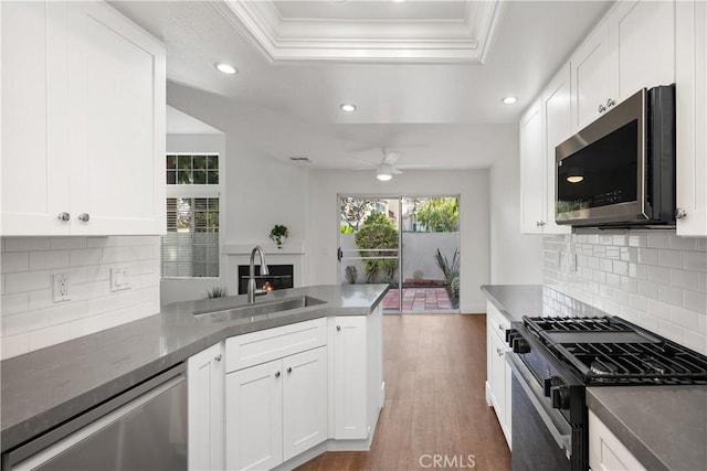 kitchen with a sink, a tray ceiling, wood finished floors, stainless steel appliances, and a peninsula