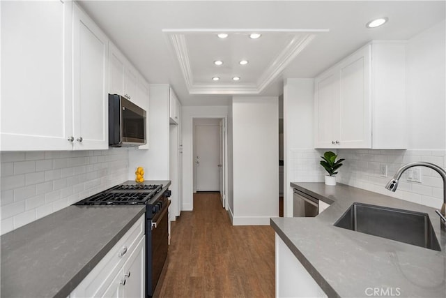 kitchen with dark wood finished floors, a tray ceiling, a sink, stainless steel appliances, and white cabinetry