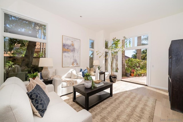 living room featuring light hardwood / wood-style floors