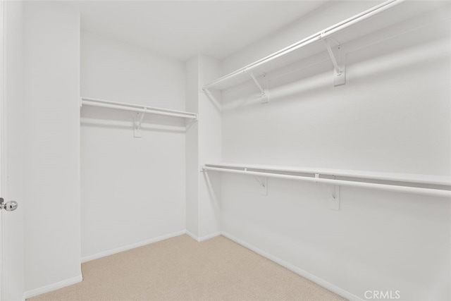 spacious closet with carpet floors