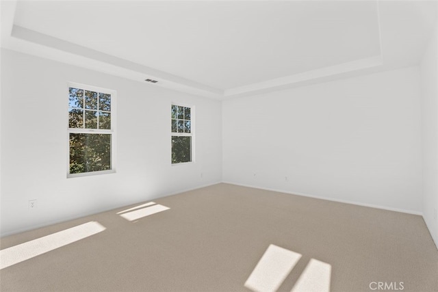 unfurnished room with carpet flooring and a tray ceiling