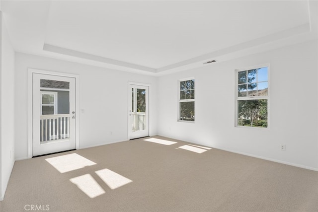 carpeted empty room featuring a raised ceiling