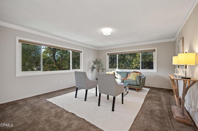 carpeted dining area with crown molding