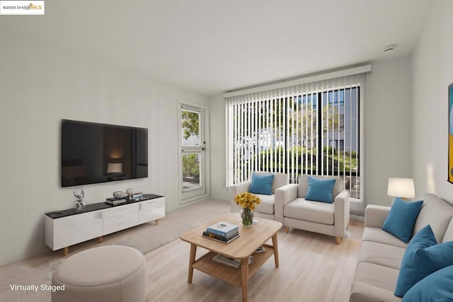 living room featuring light hardwood / wood-style flooring