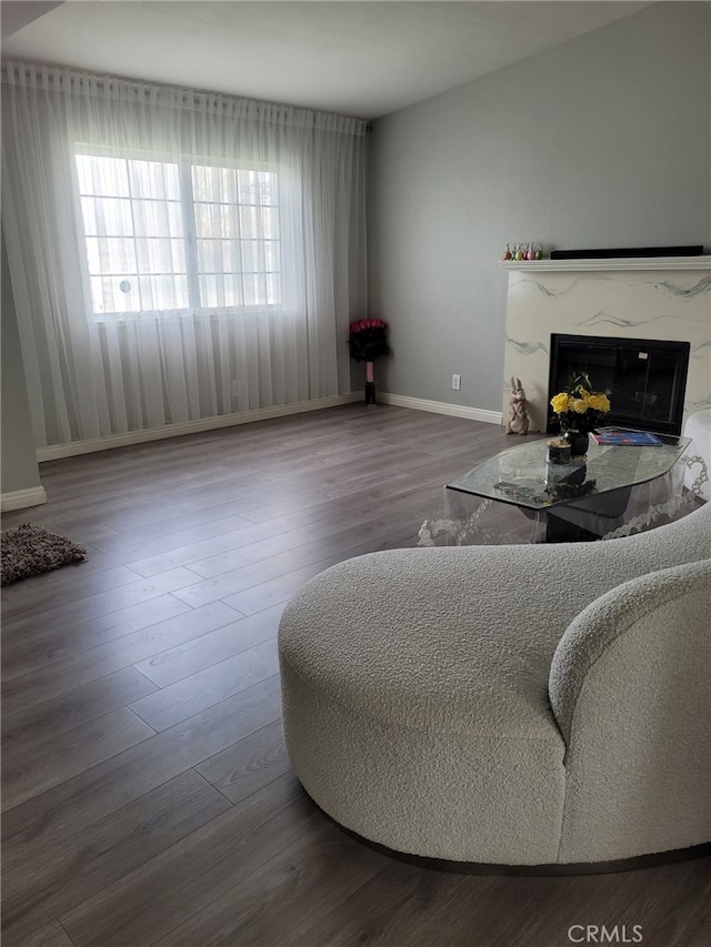 living room with hardwood / wood-style flooring and a high end fireplace