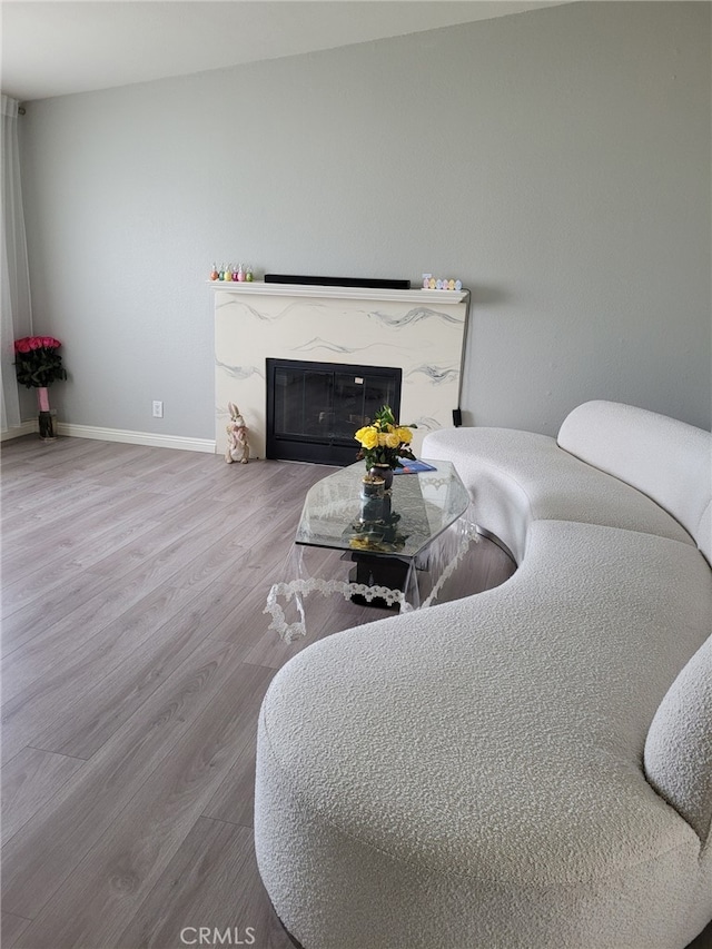 room details with wood-type flooring and a premium fireplace