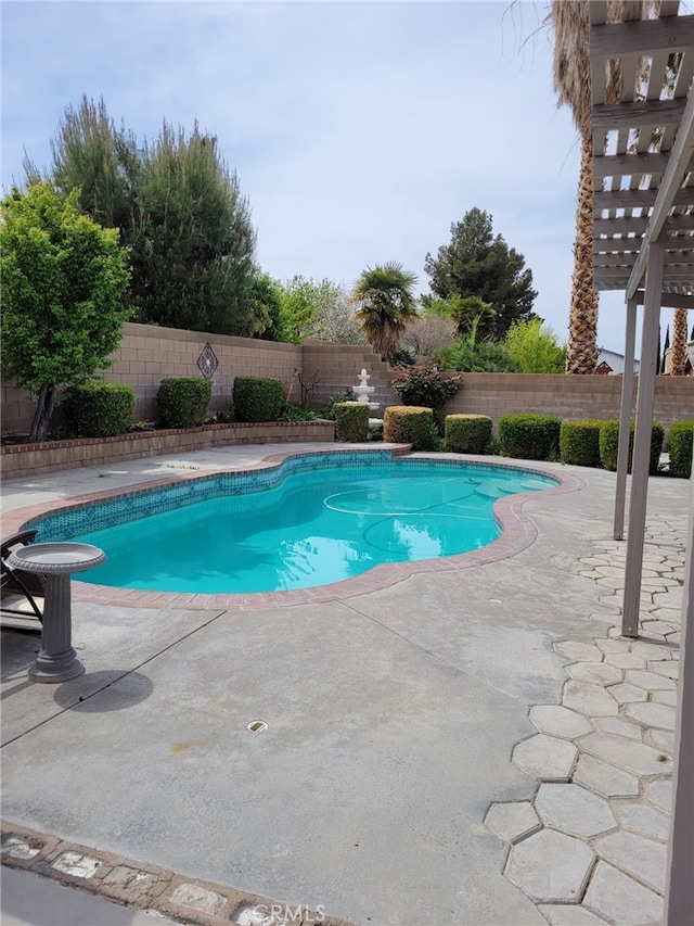 view of swimming pool with a patio area and a pergola