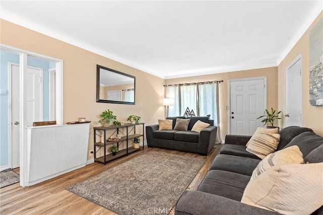 living room with hardwood / wood-style flooring