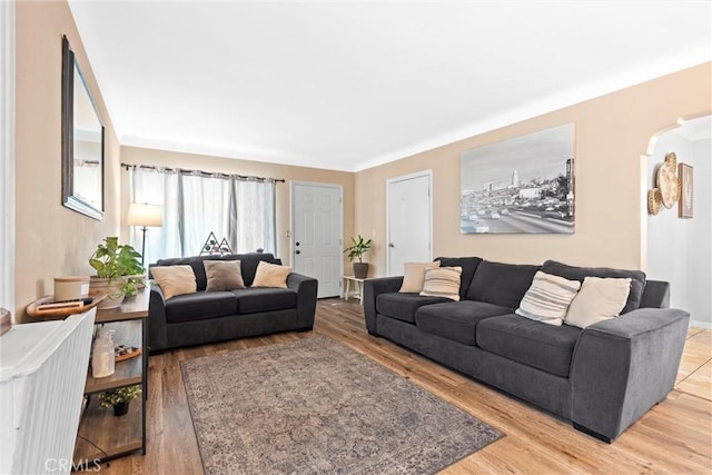 living room featuring wood-type flooring