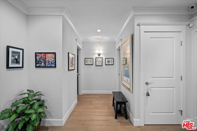 hallway featuring light hardwood / wood-style flooring and ornamental molding