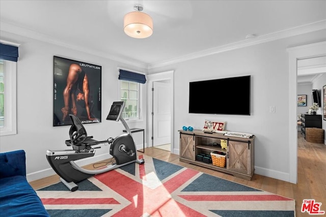 exercise room with wood-type flooring and ornamental molding