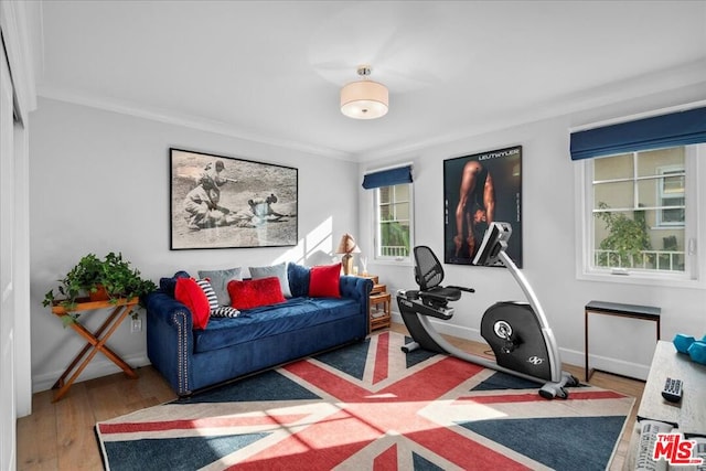 exercise room with hardwood / wood-style floors and crown molding