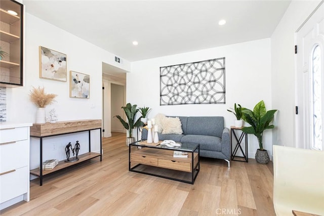 living room featuring light hardwood / wood-style flooring