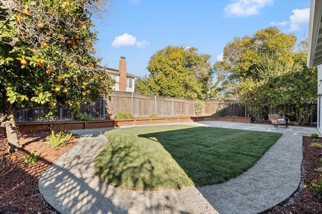 view of yard featuring a patio area