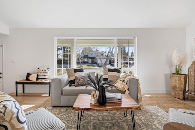 living room featuring hardwood / wood-style floors and a wealth of natural light