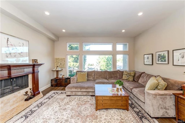 living room featuring wood-type flooring