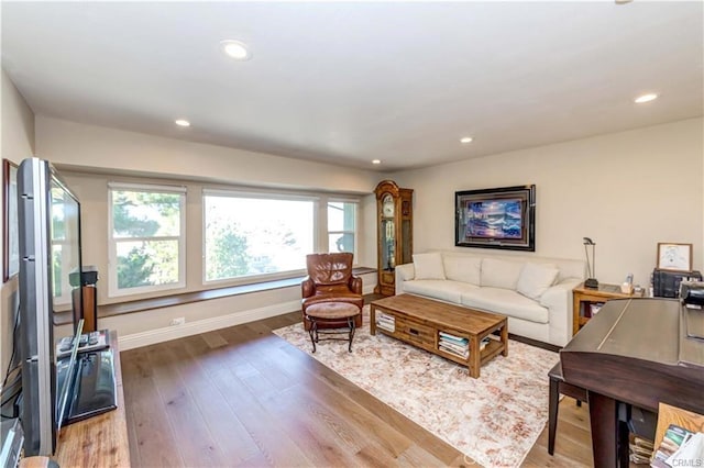 living room with dark wood-type flooring