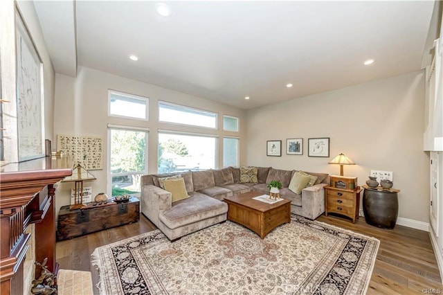 living room featuring light hardwood / wood-style flooring