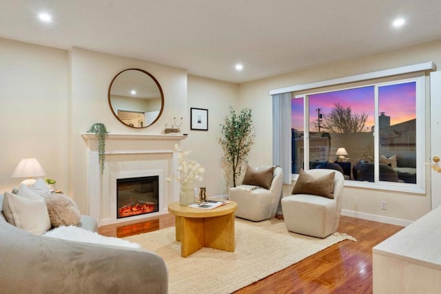 living room featuring wood-type flooring