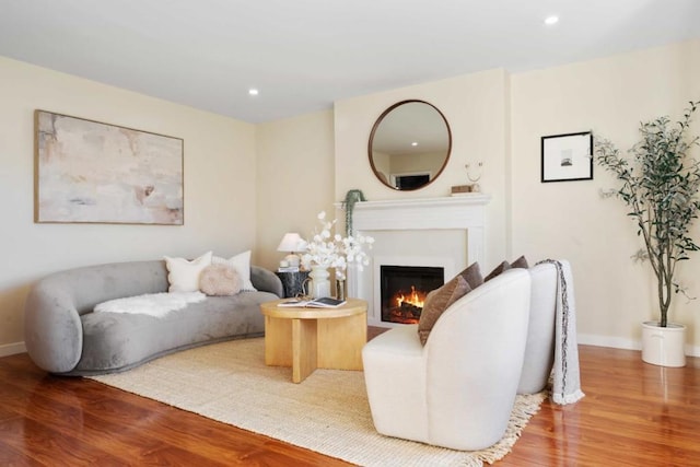 living room with wood-type flooring