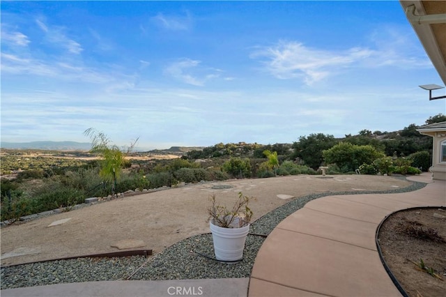 view of yard with a patio area