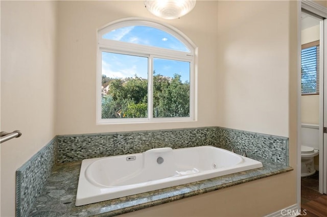 bathroom with a bathtub and toilet