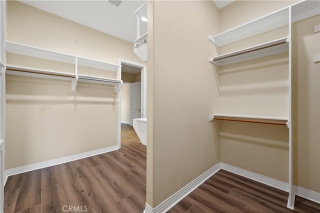 spacious closet featuring dark hardwood / wood-style floors