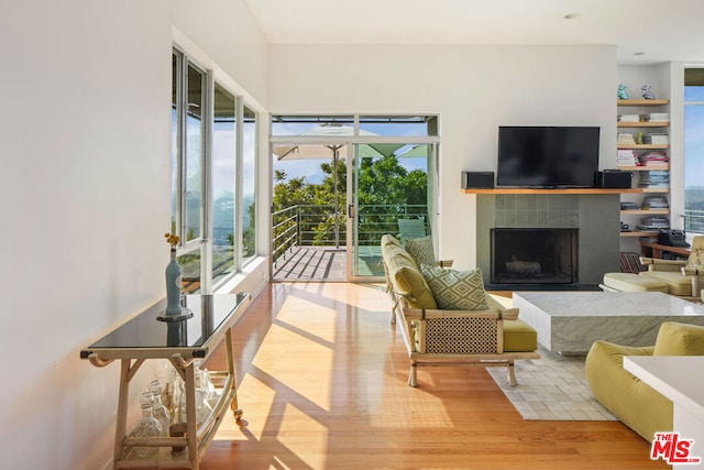 living room featuring light hardwood / wood-style flooring and a fireplace