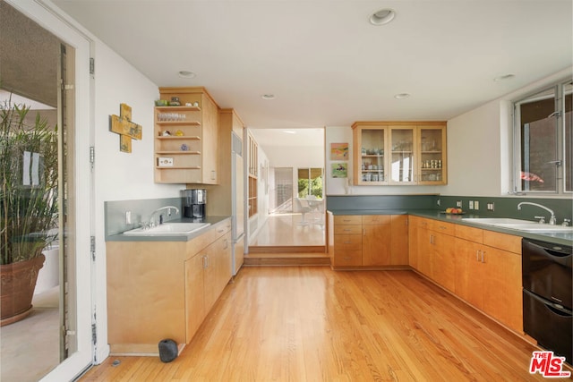 kitchen featuring sink, dishwasher, and light hardwood / wood-style floors