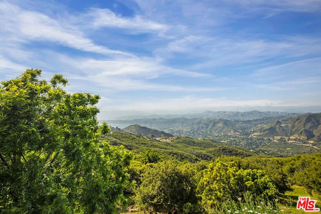 view of mountain feature