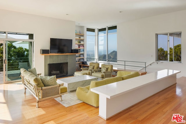 living room with light hardwood / wood-style flooring and a fireplace