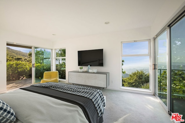 bedroom featuring access to outside and carpet floors