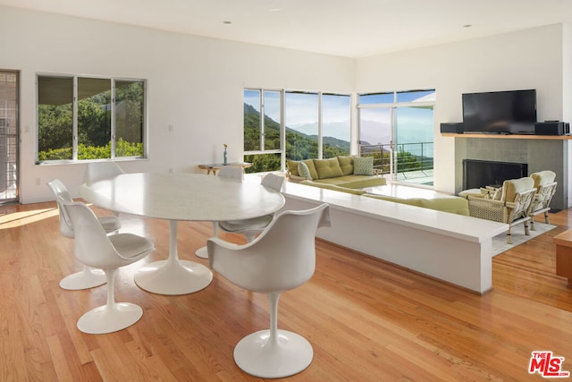 dining space featuring a fireplace and light hardwood / wood-style floors