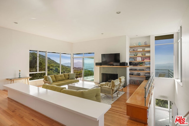 living room with light hardwood / wood-style floors