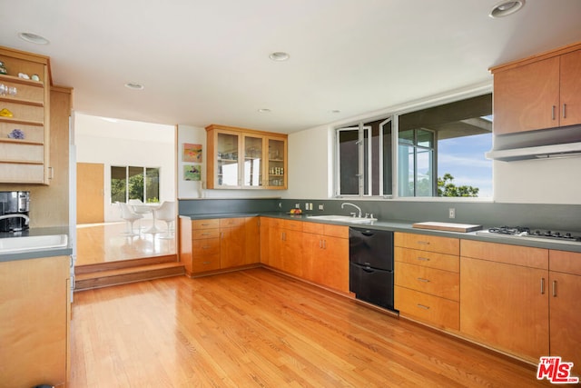 kitchen featuring sink, gas cooktop, a healthy amount of sunlight, and light wood-type flooring