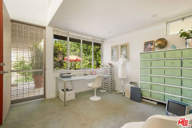 office space featuring light colored carpet