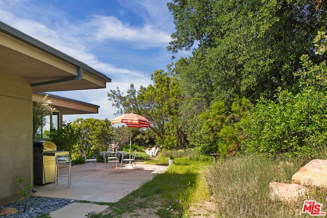 view of yard with a patio area