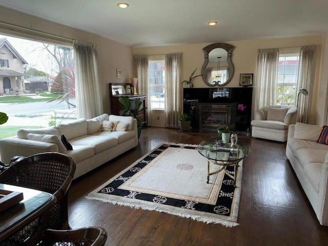 living room with dark wood-type flooring