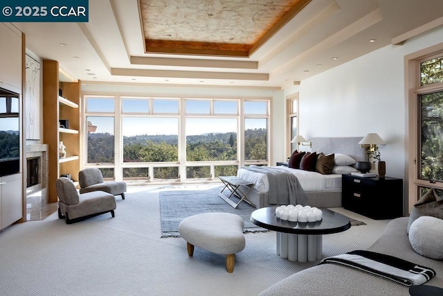 carpeted bedroom with a tray ceiling