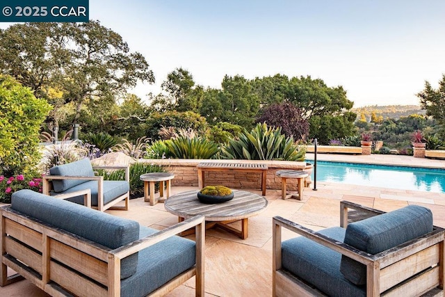 view of swimming pool with a patio and an outdoor hangout area